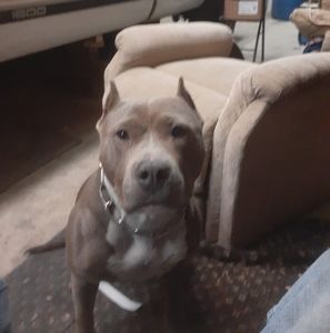 Meet your Posher, Billy